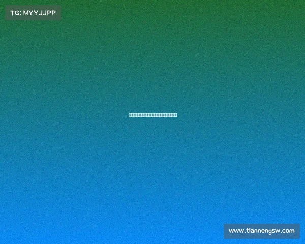 西甲联赛盘路走势分析与投注策略深度剖析