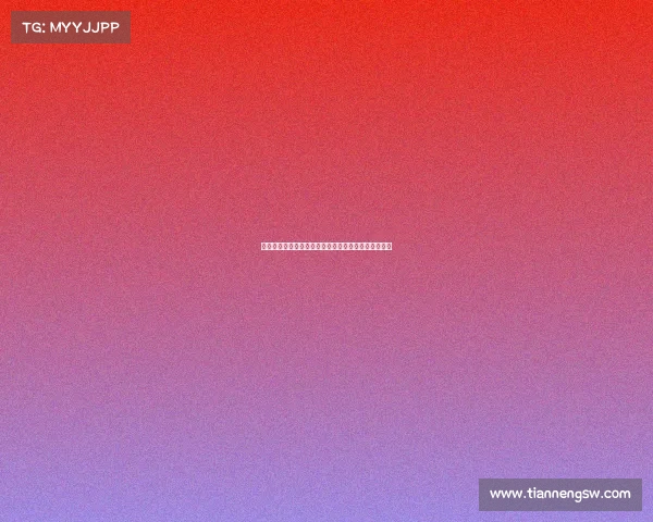 巴洛贡地区历史与文化传承的多维探析与发展潜力研究