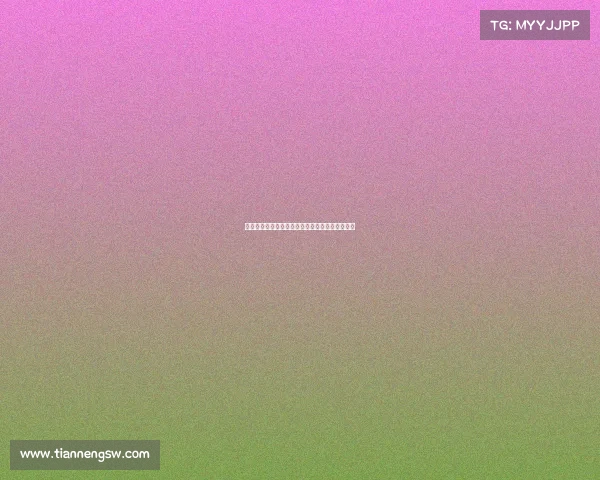 足球球员转会协议管理方案的制定与实施路径探讨